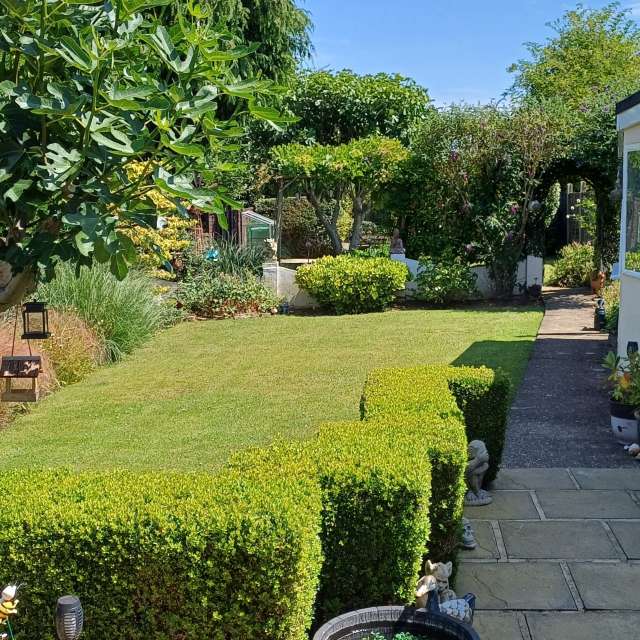 Photos Homme. Prévisions météo avec de superbes photos de Lolli de Maidstone