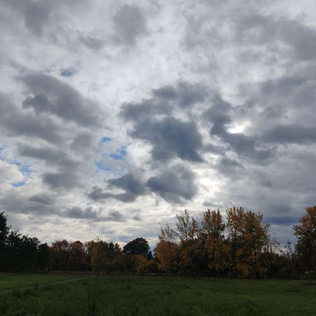 Previsões do tempo com lindas fotos de Zorrra