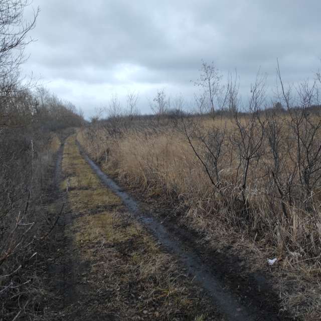 Grassy. Weather forecasts with beautiful photos by Вильдим Photos in World