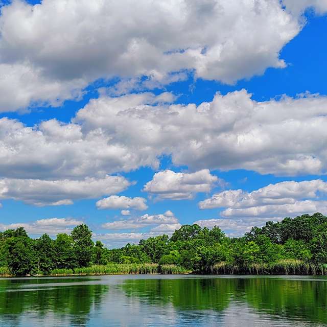 Prévisions météo avec de superbes photos de SWolfe57