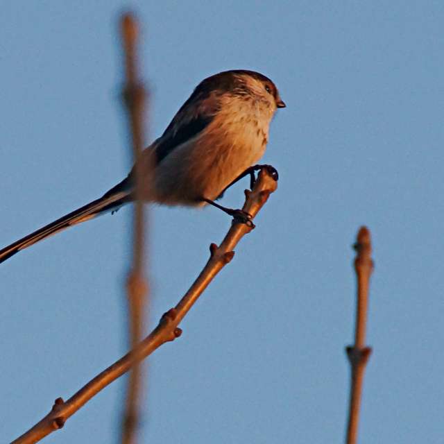 Wire. Weather forecasts with beautiful photos by tony5636 Photos in Calvisson
