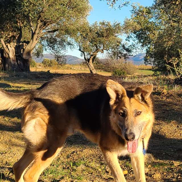 秋. Weather forecasts with beautiful photos by Kren66 Photos in World