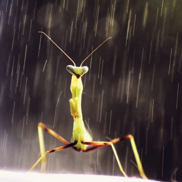 Pronósticos del tiempo con hermosas fotos de TylerDurden