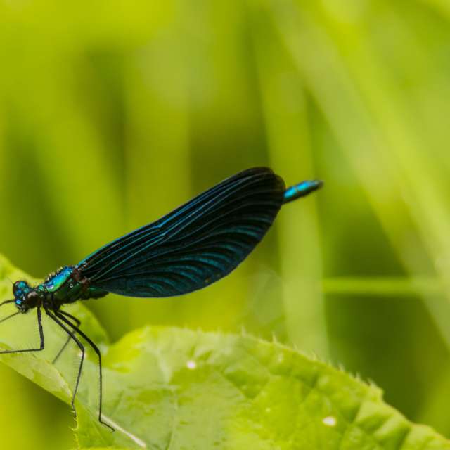 Прогнозы погоды с чудесными фотографиями, сделанными Nymph542