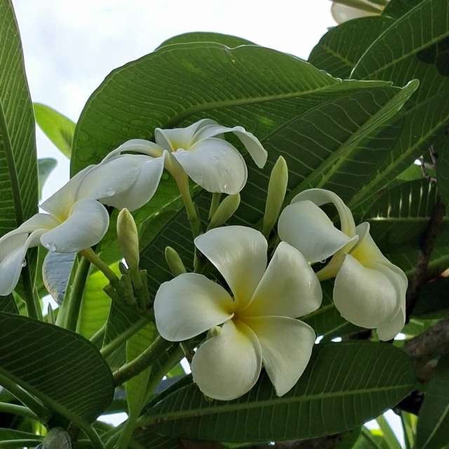 Innen. Wettervorhersagen mit schönen Fotos von Wen-ya Huang Fotos Kaohsiung