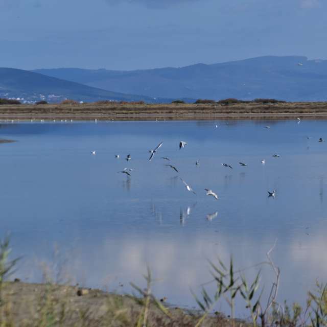 Photos météo à Plate-forme. Prévisions météo avec de superbes photos de Angeldadae