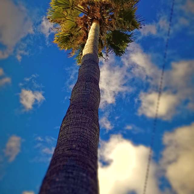 Прогнозы погоды с чудесными фотографиями, сделанными RUMBASTER