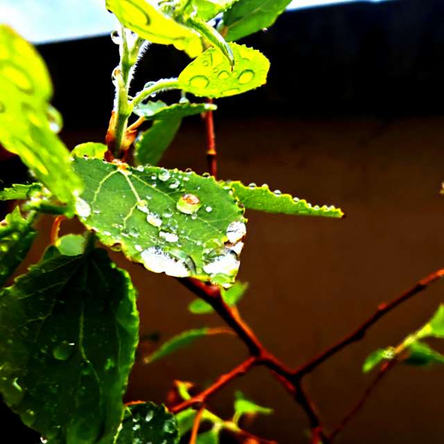 Прогнозы погоды с чудесными фотографиями, сделанными derlops