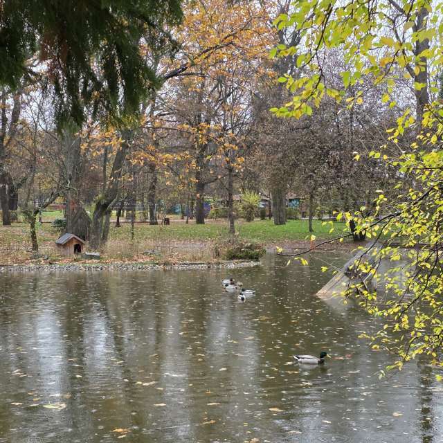 Eating. Weather forecasts with beautiful photos by Kikko Photos in World
