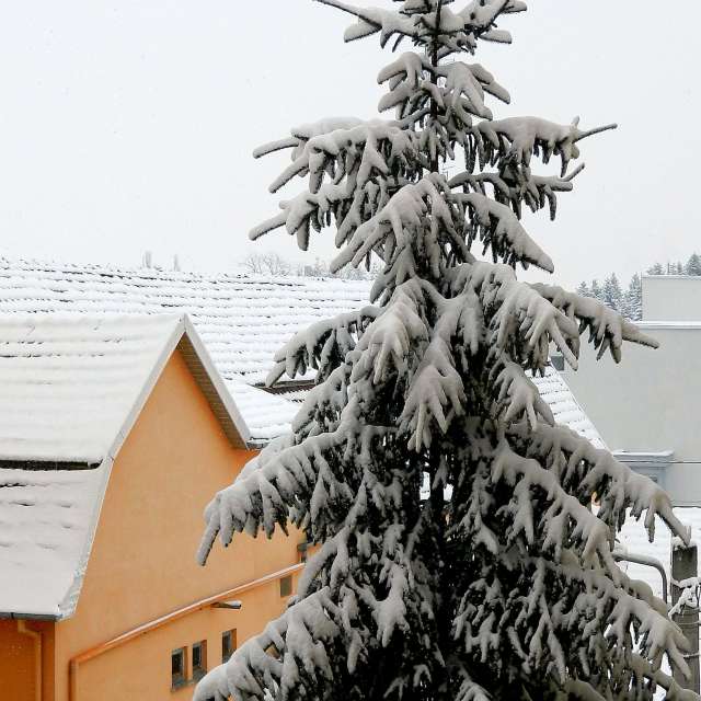 Прогнозы погоды с чудесными фотографиями, сделанными ConstantinR