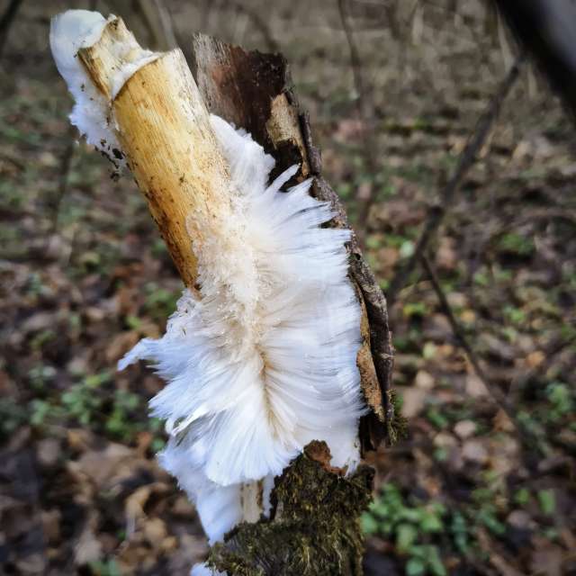 天气预报，带Aleksei精美的照片