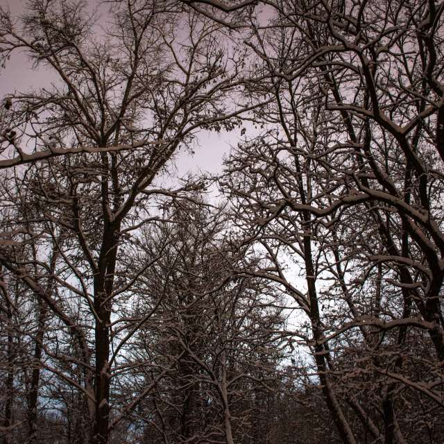 Field. Weather forecasts with beautiful photos by GrgaP Photos in World