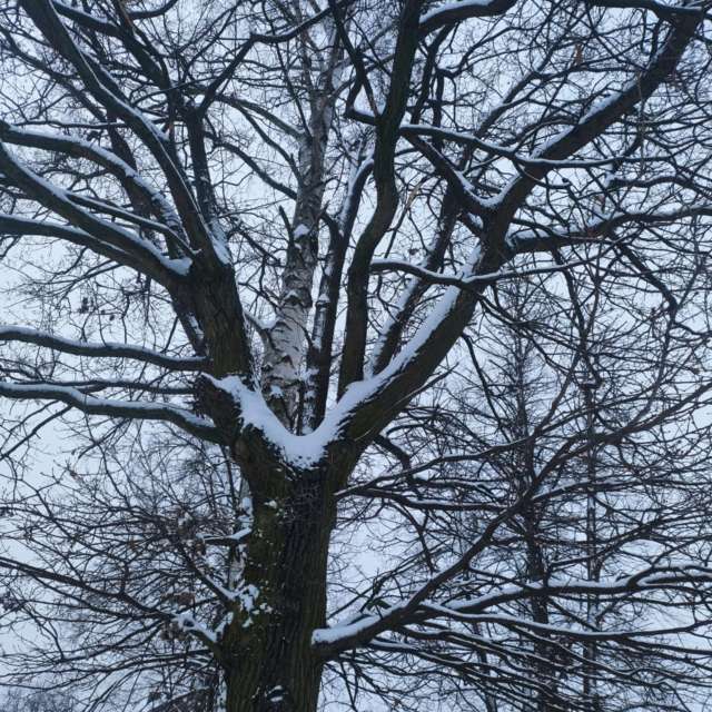 Ania-12の美しい写真による天気予報