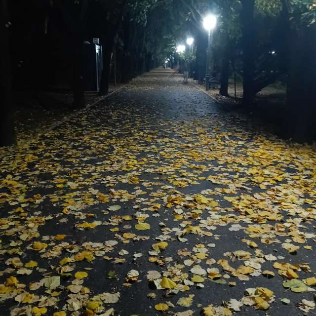 Fotos del Vista. Pronósticos del tiempo con hermosas fotos de YanBog en București