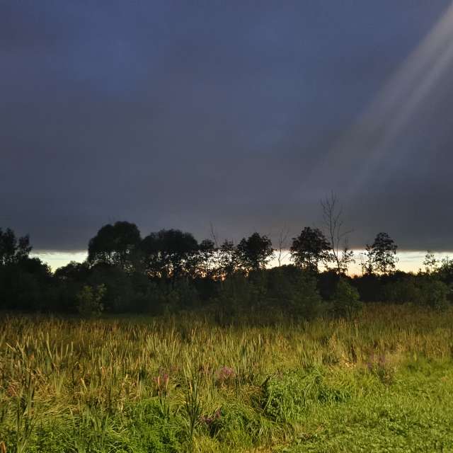 Sky. Weather forecasts with beautiful photos by Aleksei Photos in Tula