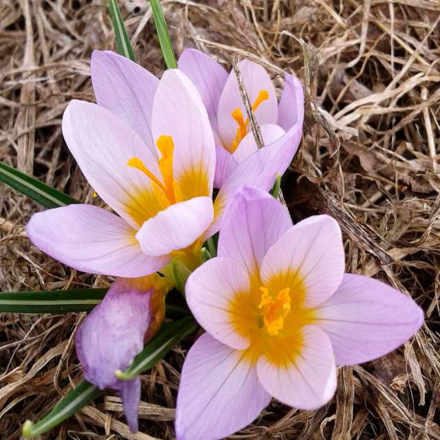 Weather. Weather forecasts with beautiful photos by urashm Photos in Khmelnytskyi