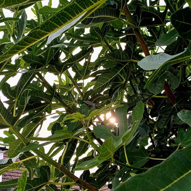 Прогнозы погоды с чудесными фотографиями, сделанными Lolli