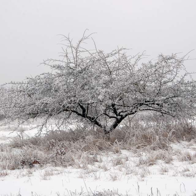 Pronósticos del tiempo con hermosas fotos de Paul57