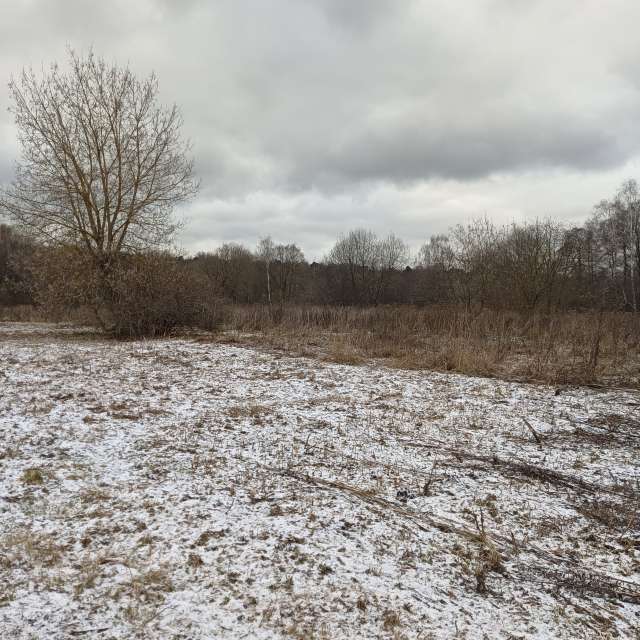 Man. Weather forecasts with beautiful photos by Amanda_and_Valdemar_Che Photos in Izmaylovo District