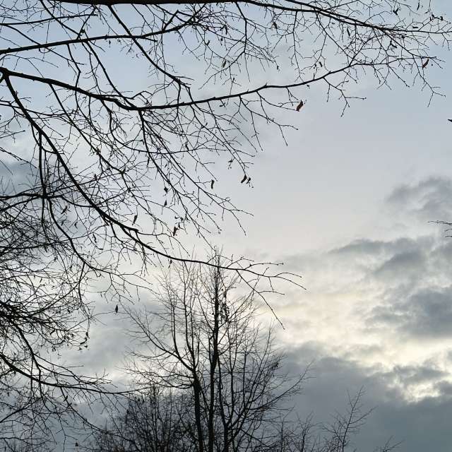 Weather forecasts with beautiful photos by Ritha