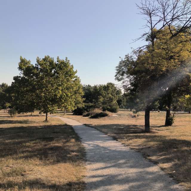 Fotos del Firmar. Pronósticos del tiempo con hermosas fotos de YanBog en Bucharest