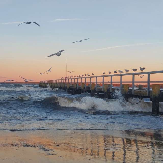 Прогнозы погоды с чудесными фотографиями, сделанными Calendula