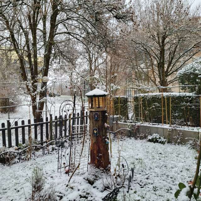 天气预报，带aida-khaldi精美的照片