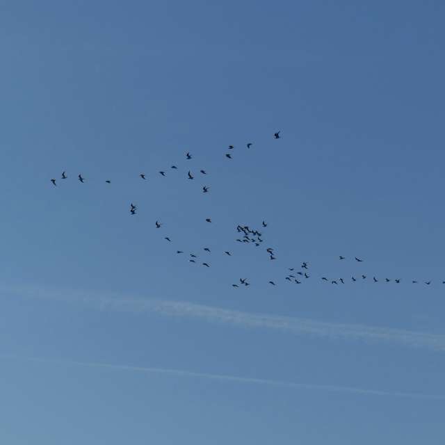 Fotos Muitos. Previsões do tempo com lindas fotos de Vasek325 em Praha 4