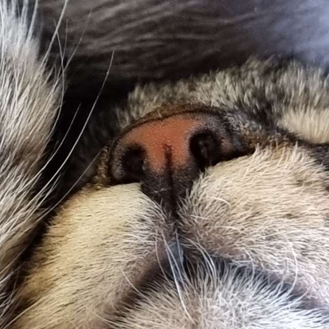 Weather forecasts with beautiful photos by Beorn