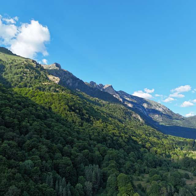 天气预报，带RositaY精美的照片