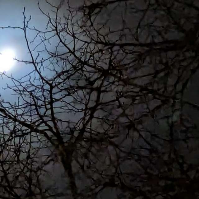 Previsões do tempo com lindas fotos de Roytinez31