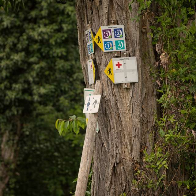 天气预报，带Axys精美的照片