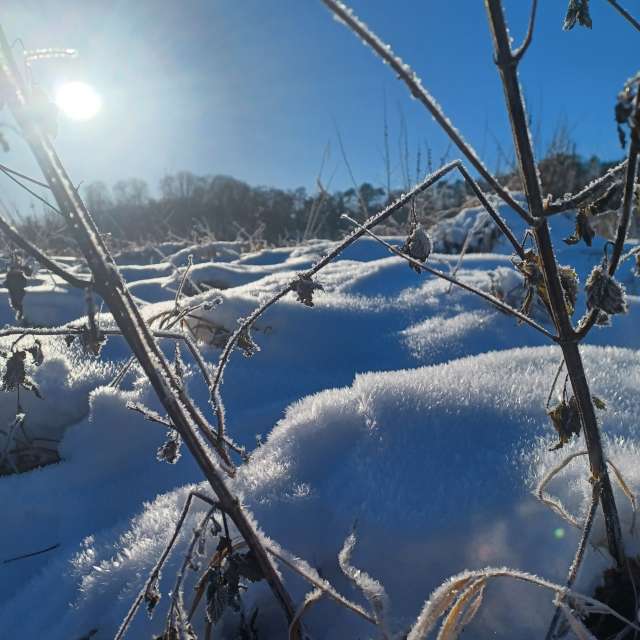 Weather forecasts with beautiful photos by Hikey