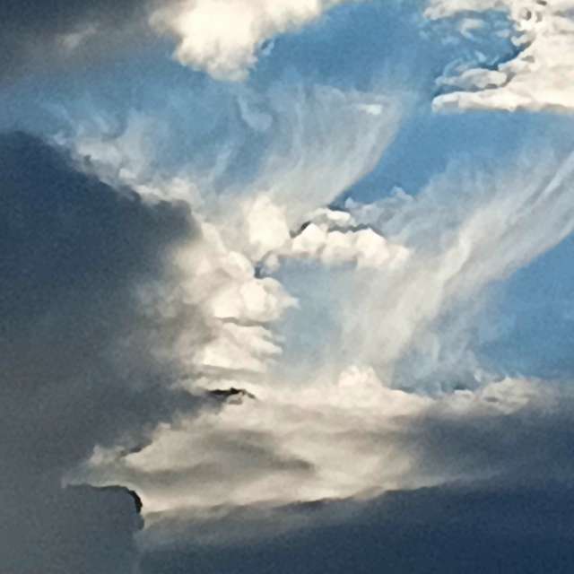 Teriの美しい写真による天気予報