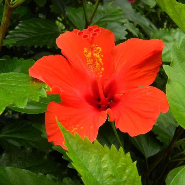 umemuiの美しい写真による天気予報