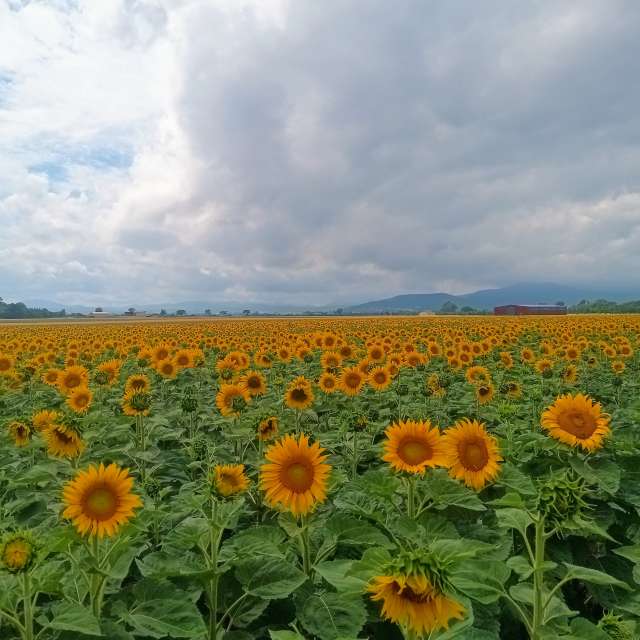 Weather Photos in World. Weather forecasts with beautiful photos by Kripo