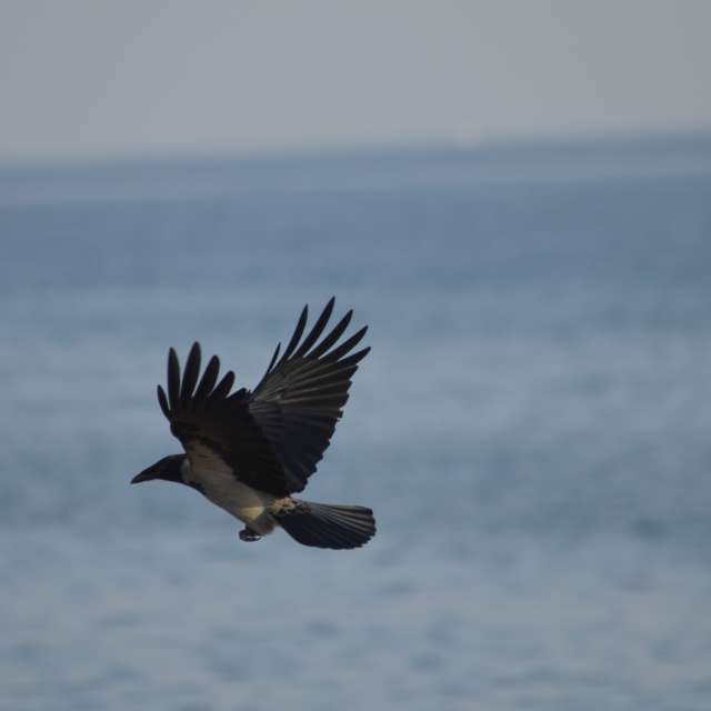 Dự báo thời tiết với những bức ảnh đẹp của Derebey