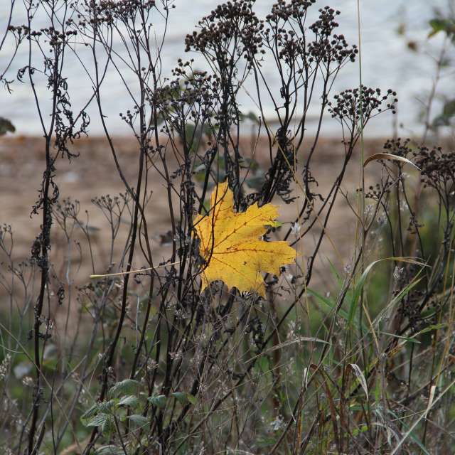 Weather forecasts with beautiful photos by urubu