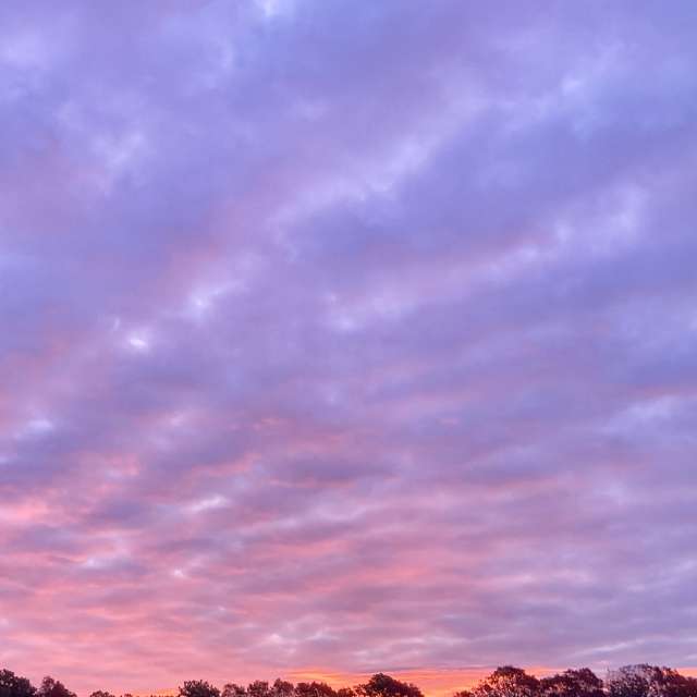 Pronósticos del tiempo con hermosas fotos de prairiesands