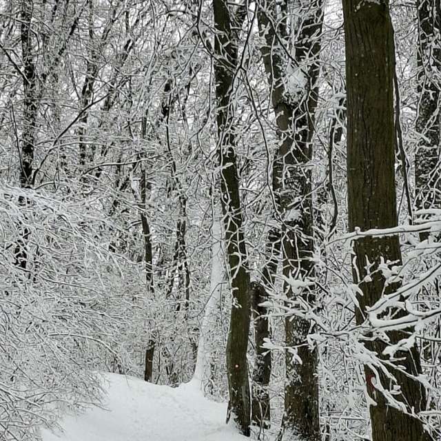 天气预报，带Aleksandar精美的照片