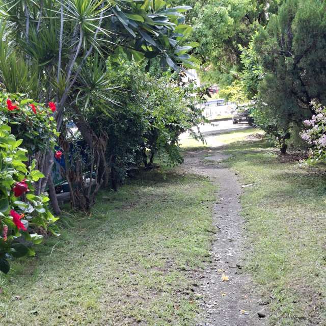 Fotos Floresta. Previsões do tempo com lindas fotos de Wen-ya Huang em Kaohsiung City