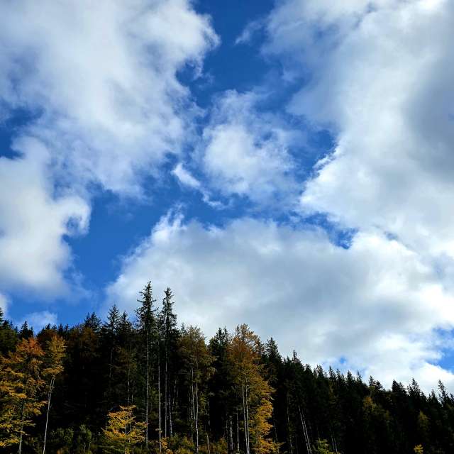 Weather forecasts with beautiful photos by Camelyon