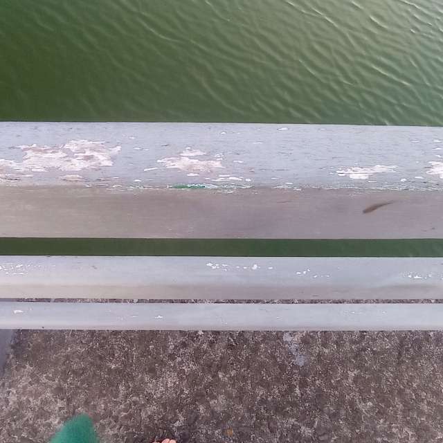 Прогнозы погоды с чудесными фотографиями, сделанными fernanda24h