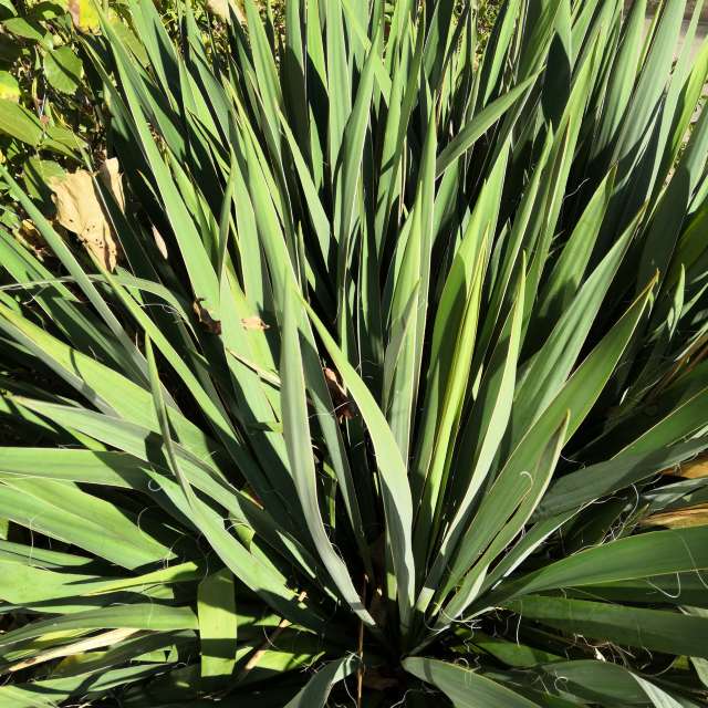 Wettervorhersagen mit schönen Fotos von Yurik