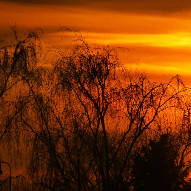 GREENE. Weather forecasts with beautiful photos by Miloš_SK Photos in Sereď