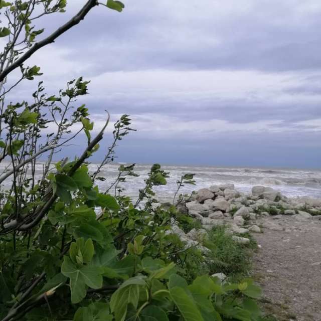 天气预报，带gentlemen55精美的照片