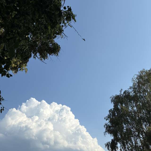 Prévisions météo avec de superbes photos de cigov