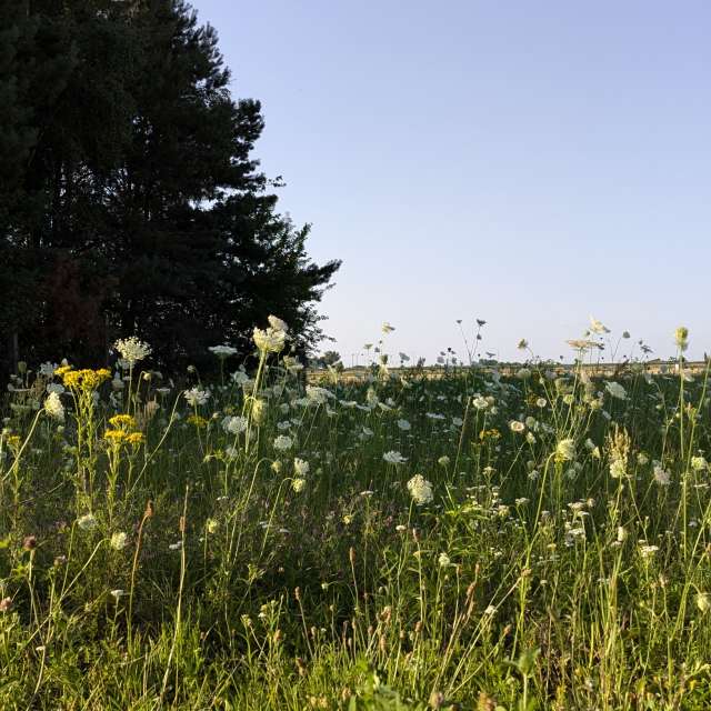 Fotos del Clima. Pronósticos del tiempo con hermosas fotos de Romek58 en Województwo Łódzkie