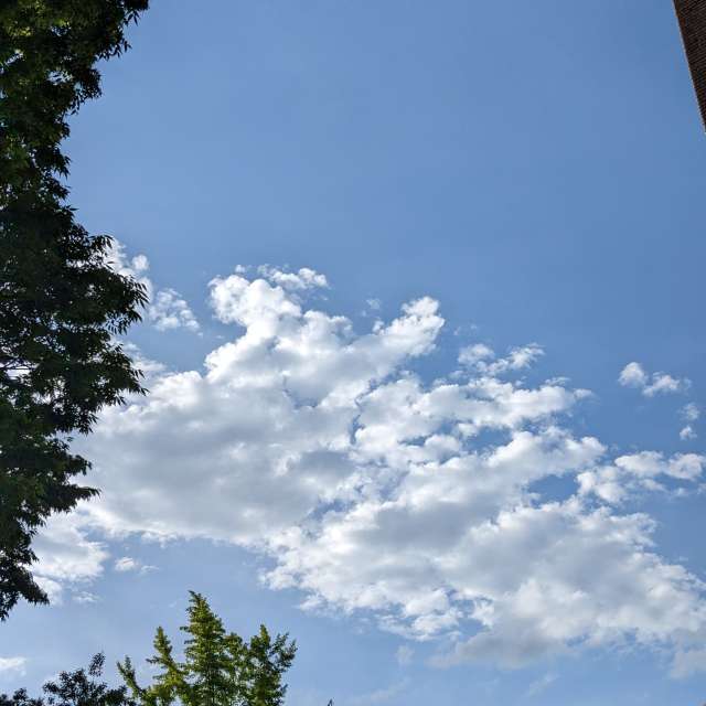 Fotos Pessoas. Previsões do tempo com lindas fotos de あさのジジ em Okayama