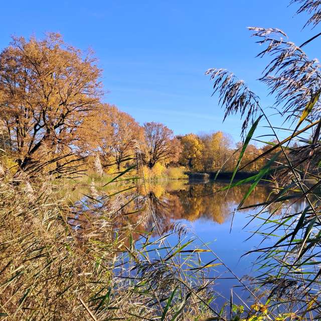 Прогнозы погоды с чудесными фотографиями, сделанными fwerner